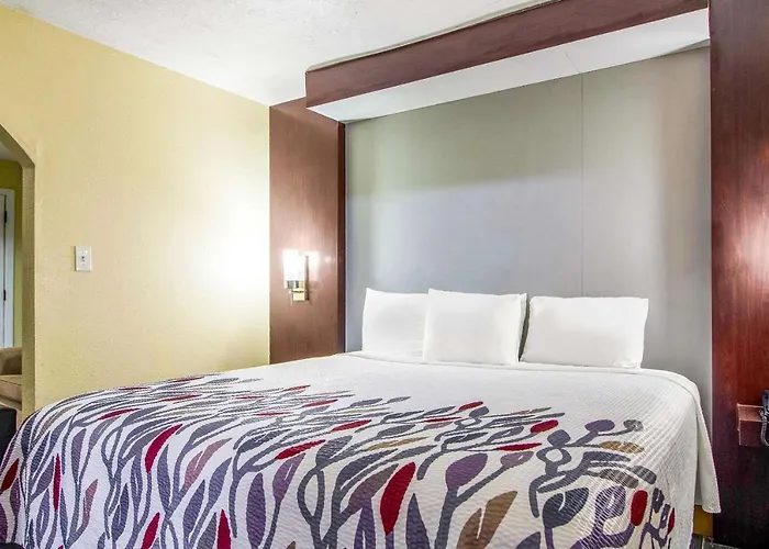 Rodeway Inn and Suites Medical Center Houston